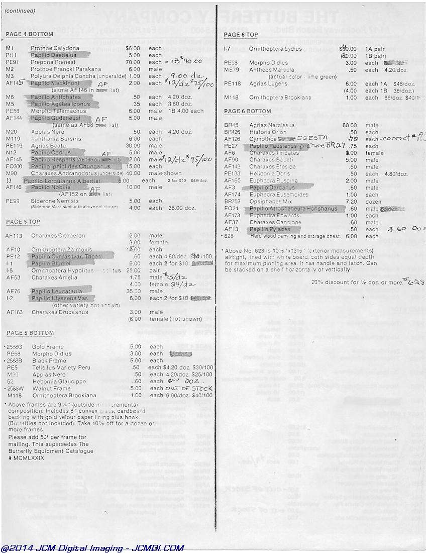 The Butterfly Company (NY) 6 Page catalog (1982)